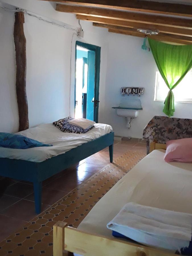 Danube Delta Hostel Homestay & Camping Sulina Luaran gambar