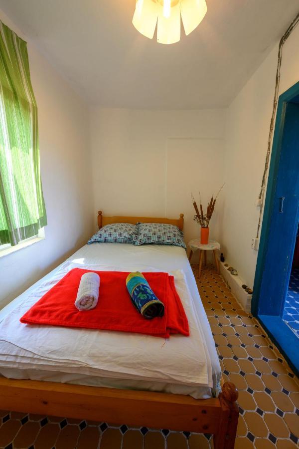 Danube Delta Hostel Homestay & Camping Sulina Luaran gambar